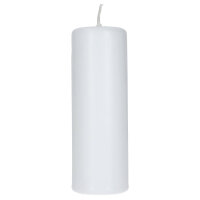 Stumpenkerze glatt mit Brennstopp 40 x 120 mm, glatt...