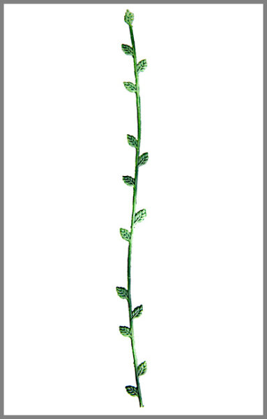 Wachsmotiv Zierliche Blätterranke grün-schattiert, 21cm
