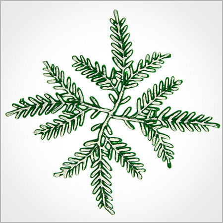 Wachsmotiv Weihnachtskerzen - Tannenzweig vierfach, grün-weiß