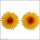 Wachsmotiv Blüte Sonnenblume 3,8cm 2 St., zum Kerzen gestalten