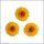 Wachsmotiv Blüte Sonnenblume 2,8cm - zum Kerzen gestalten  3 St